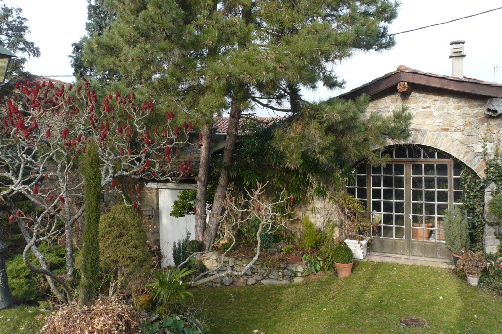 Rontalon, 01-02-09, 11-21.jpg